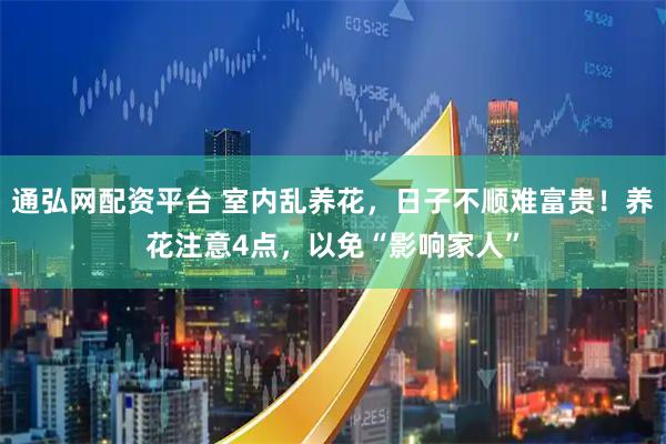 通弘网配资平台 室内乱养花，日子不顺难富贵！养花注意4点，以免“影响家人”