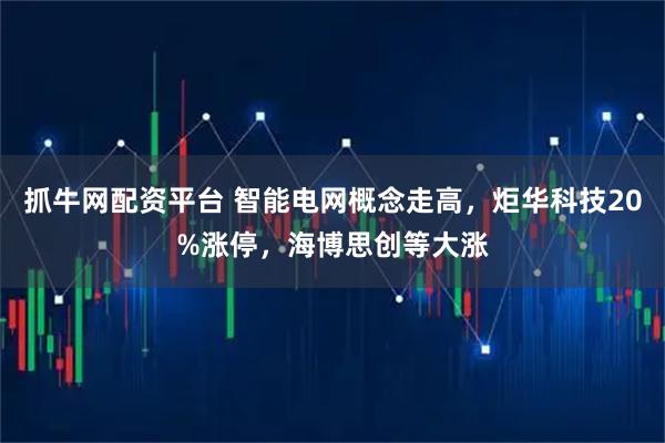 抓牛网配资平台 智能电网概念走高,炬华科技20%涨停,海博思创等大涨